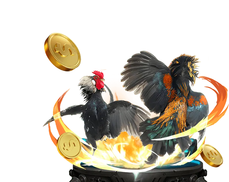 Tin tức mới nhất từ nhà cái 123